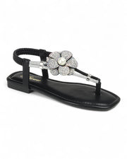 Women Thong Sandal Shoes FL-AMELIA-73