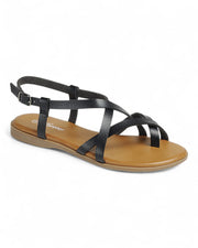 FL-AMPLE-21