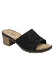 Women Chunky Heel Sandal Shoes FL-CREDIT-3