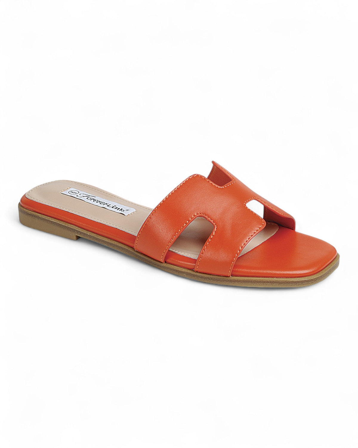 FL-MAIN-13