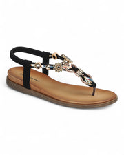 Women Thong Sandal Shoes FL-RATE-12