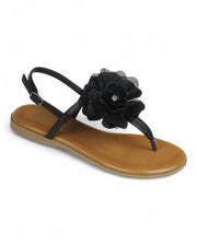 Women Slingback Thong Sandal Shoes FL-WEALTHY-15